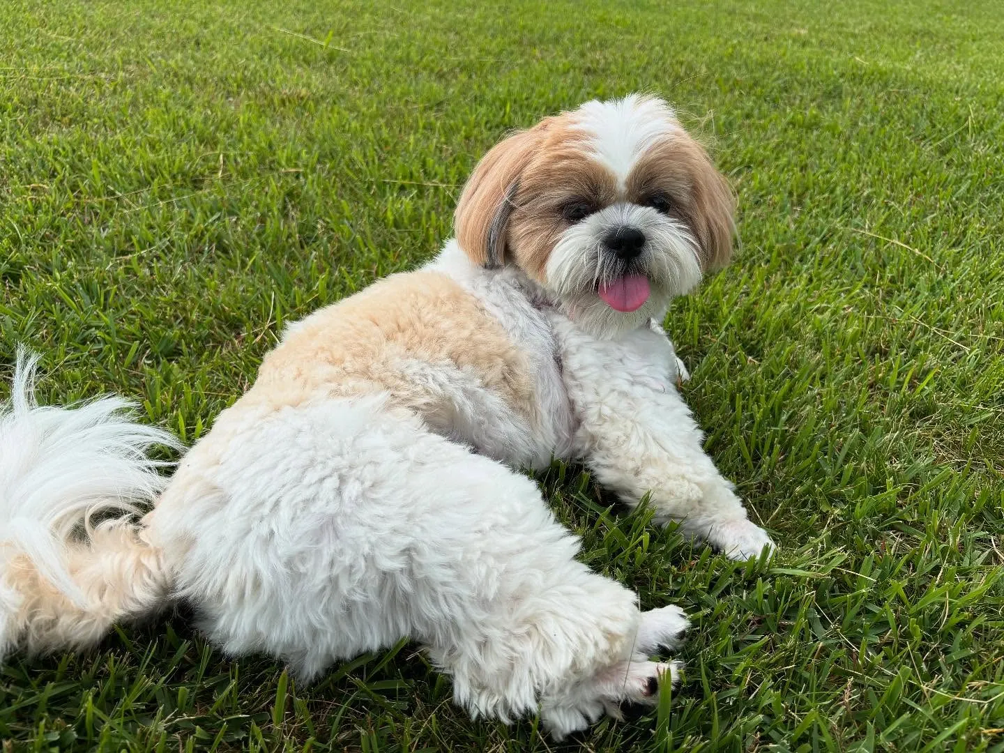 昨日は抽選おでかけイベントの開催日🐾