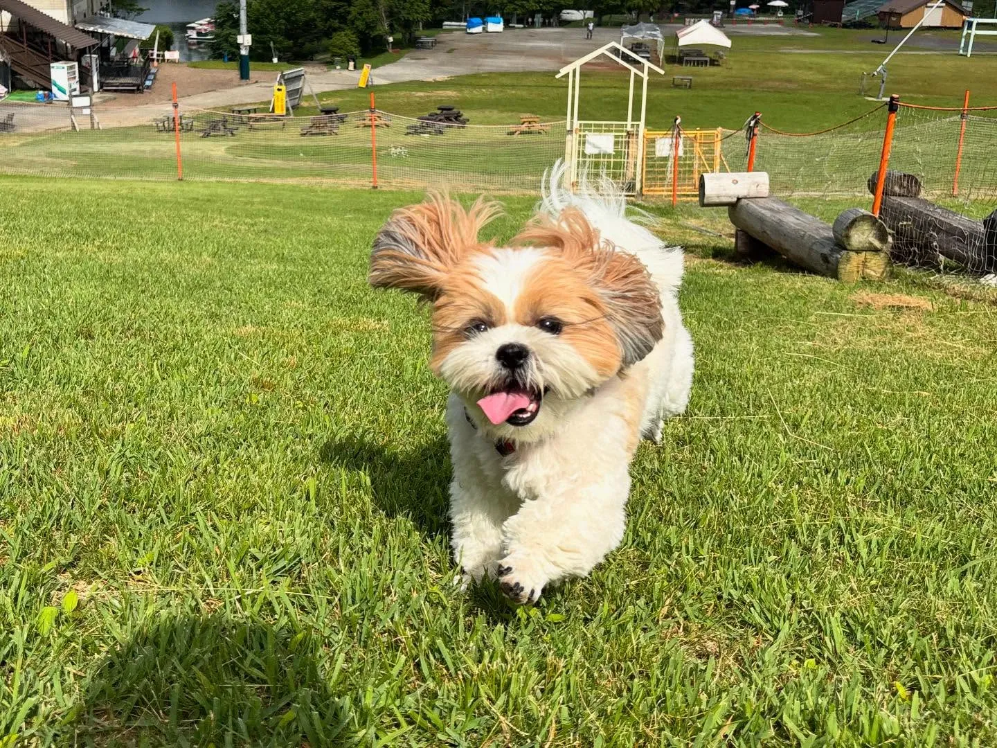 昨日は抽選おでかけイベントの開催日🐾