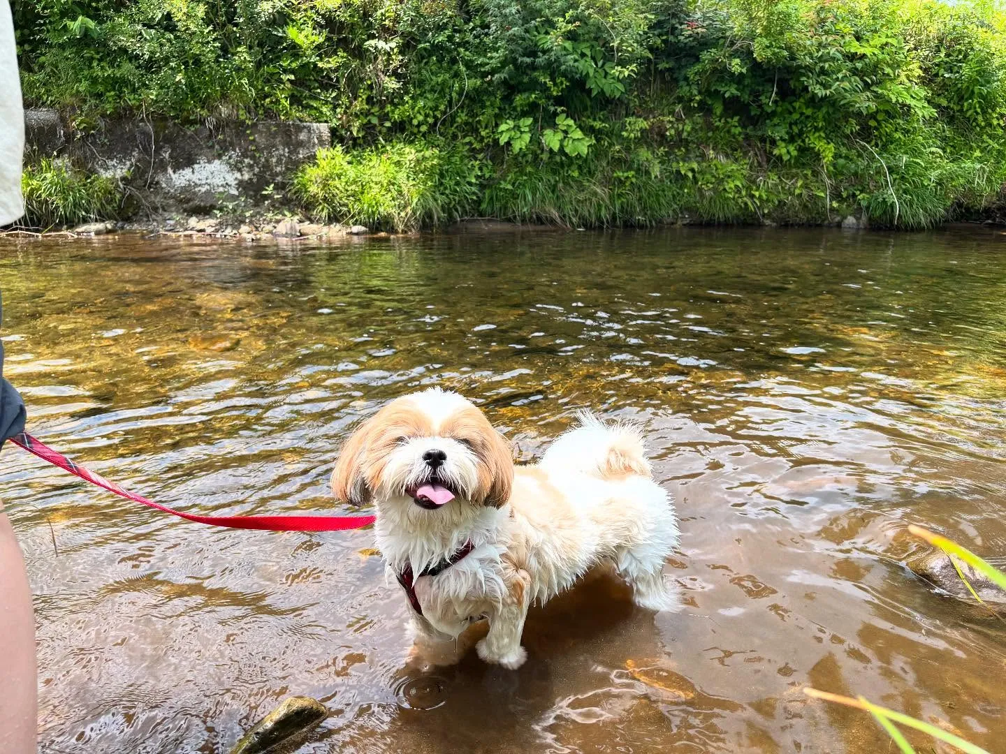 昨日は抽選おでかけイベントの開催日🐾