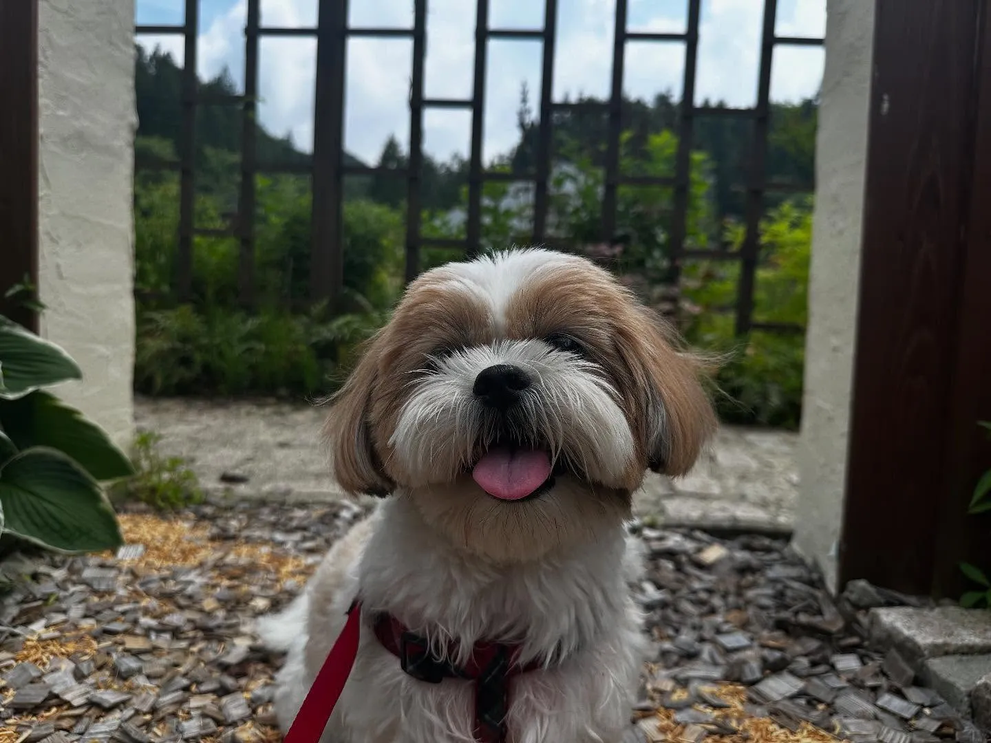 昨日は抽選おでかけイベントの開催日🐾