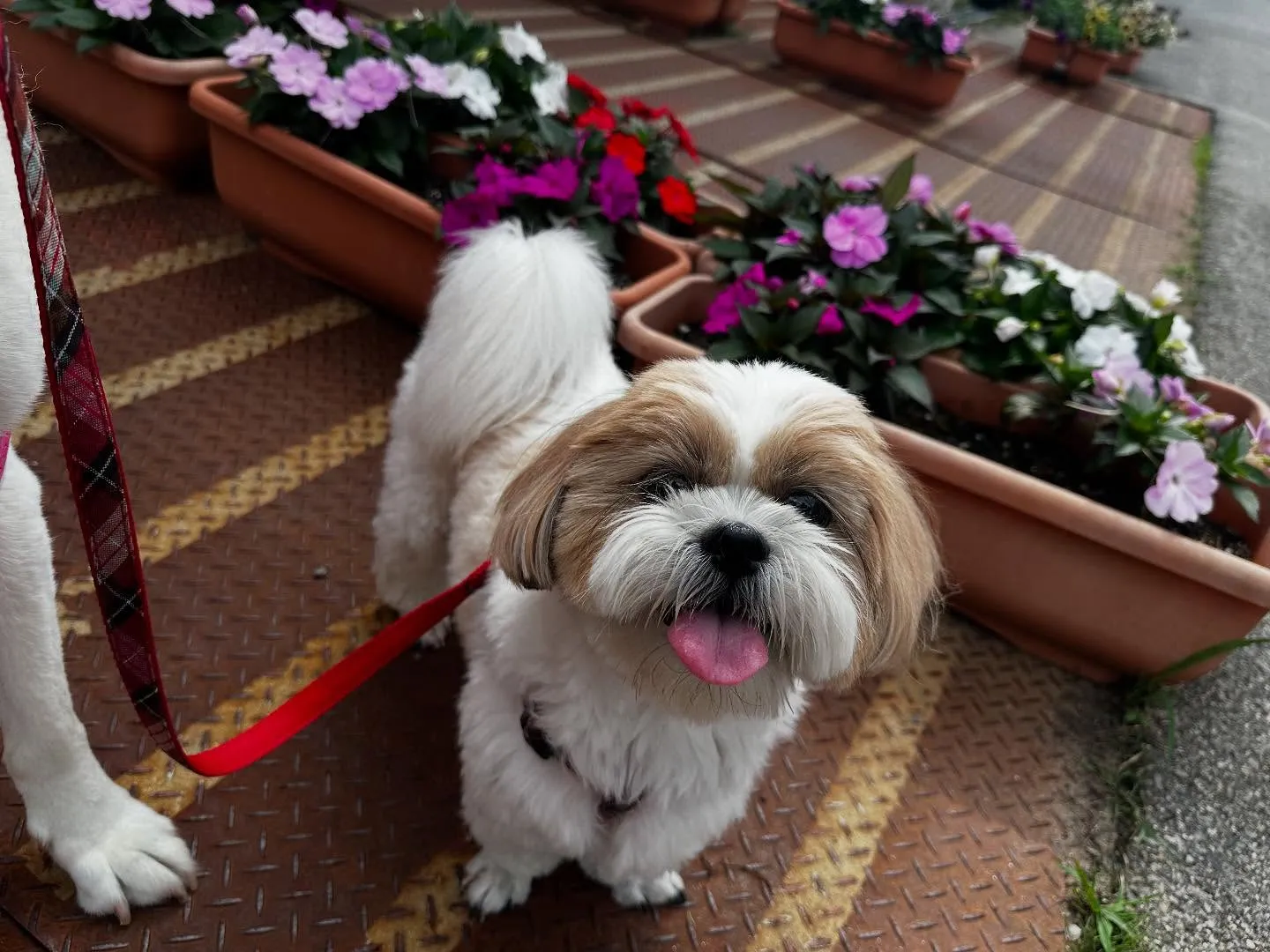 昨日は抽選おでかけイベントの開催日🐾