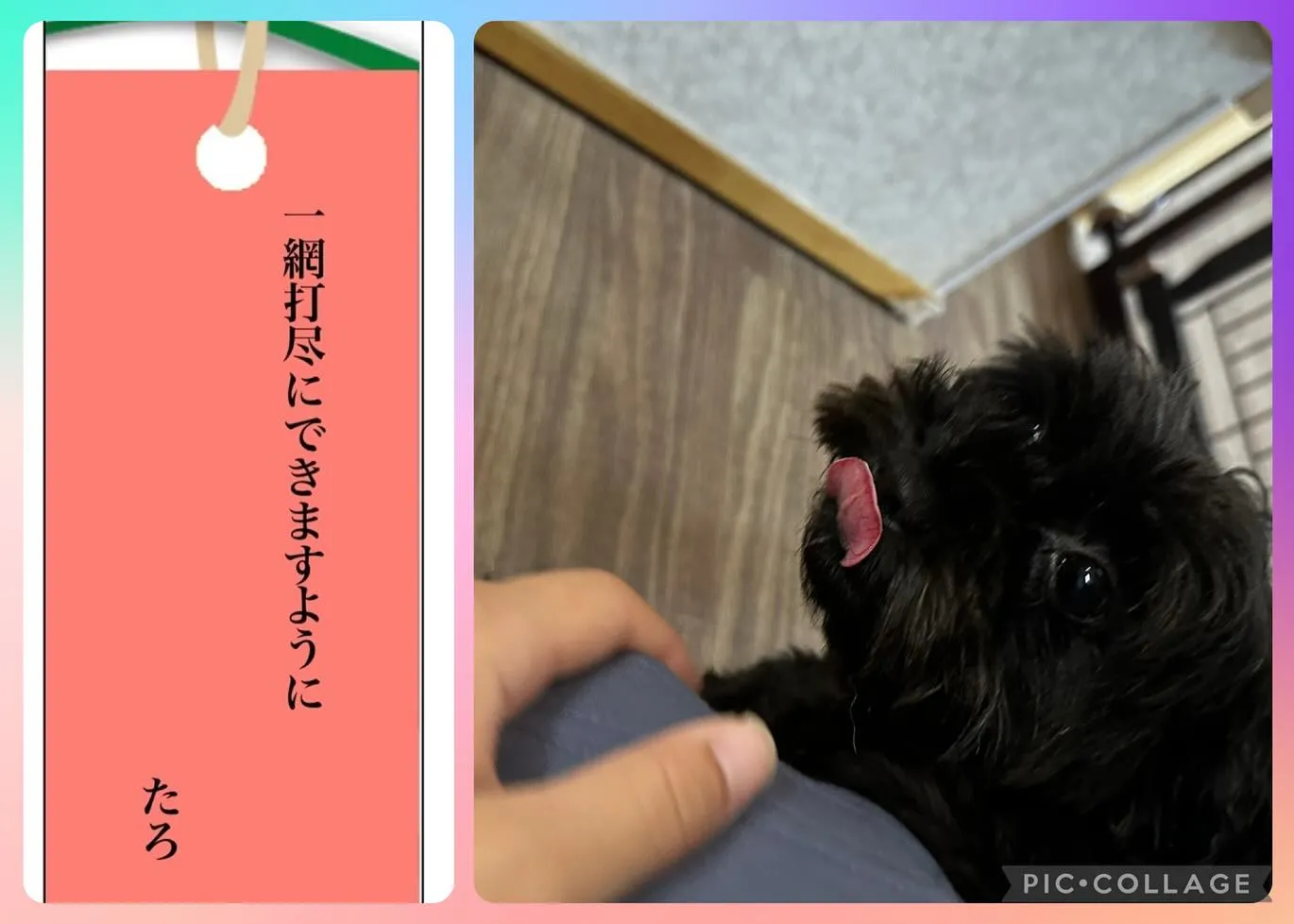 昨日は七夕でしたね🎋