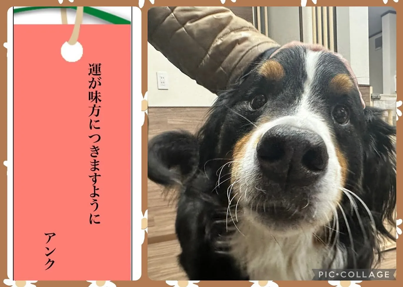 昨日は七夕でしたね🎋