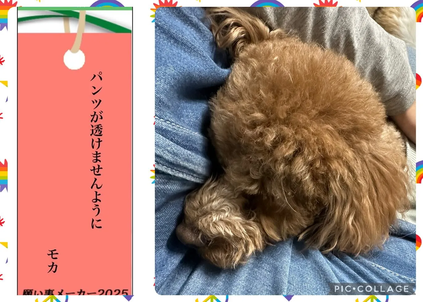 昨日は七夕でしたね🎋