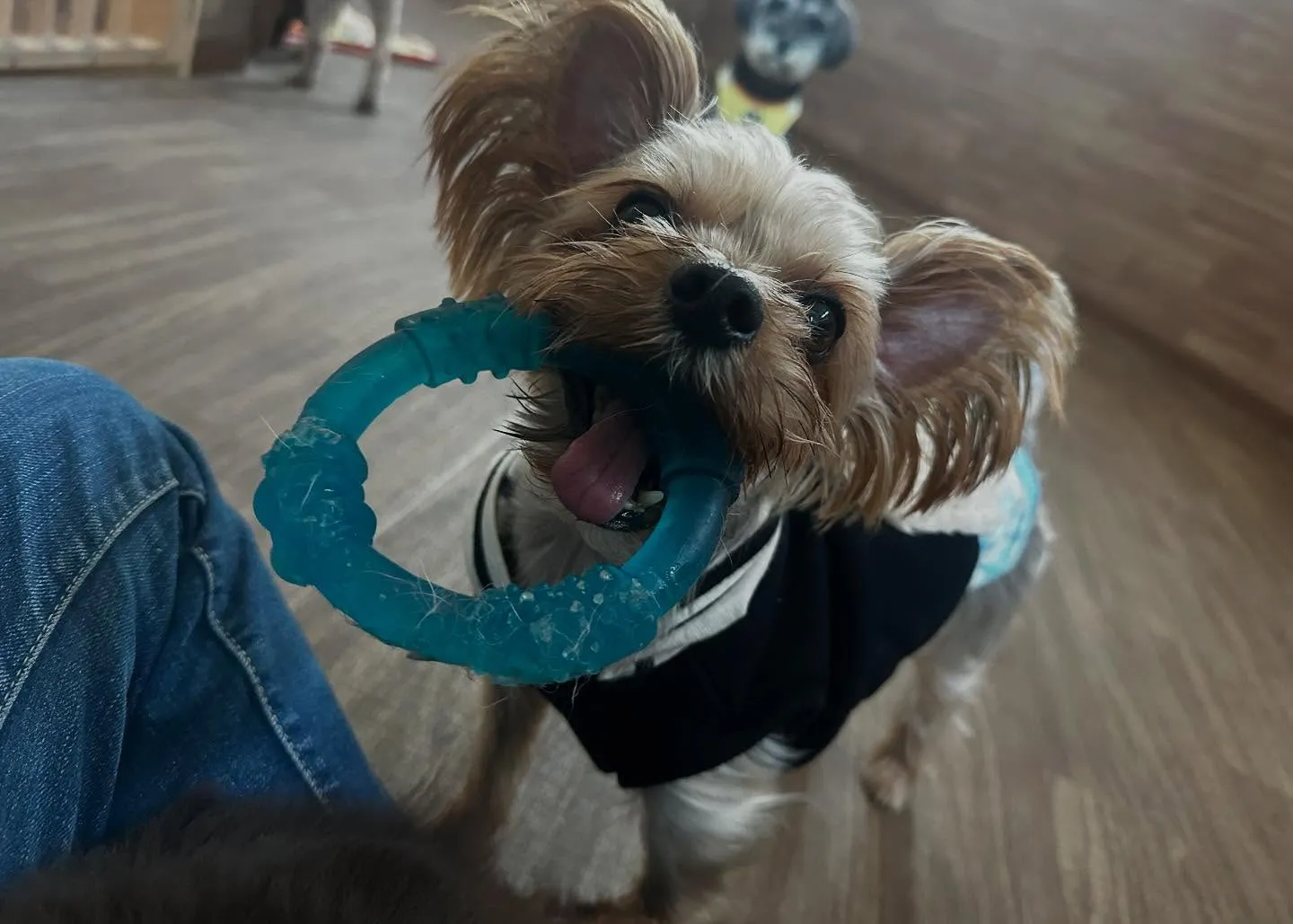 昨日は七夕でしたね🎋