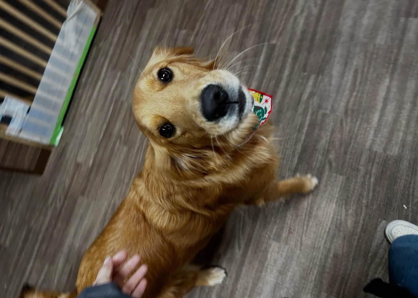 昨日は七夕でしたね🎋