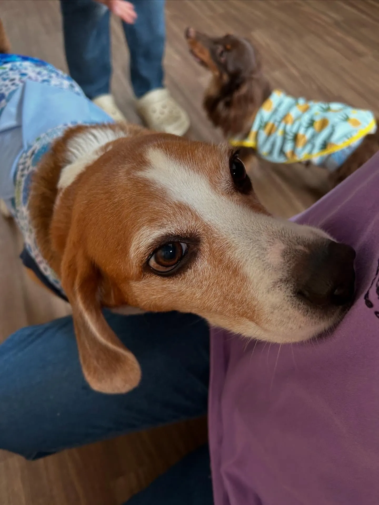 すっかりアップするのを忘れていた8月の営業カレンダーです✨️