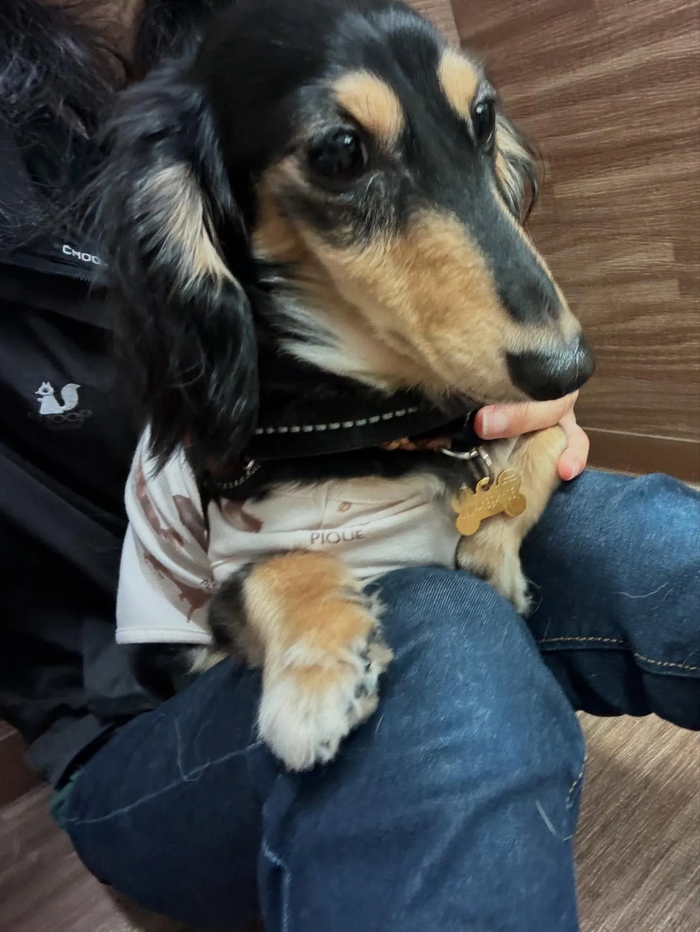 すっかりアップするのを忘れていた8月の営業カレンダーです✨️