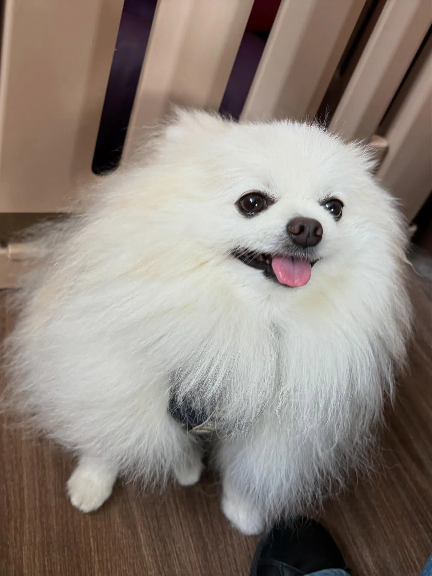 すっかりアップするのを忘れていた8月の営業カレンダーです✨️