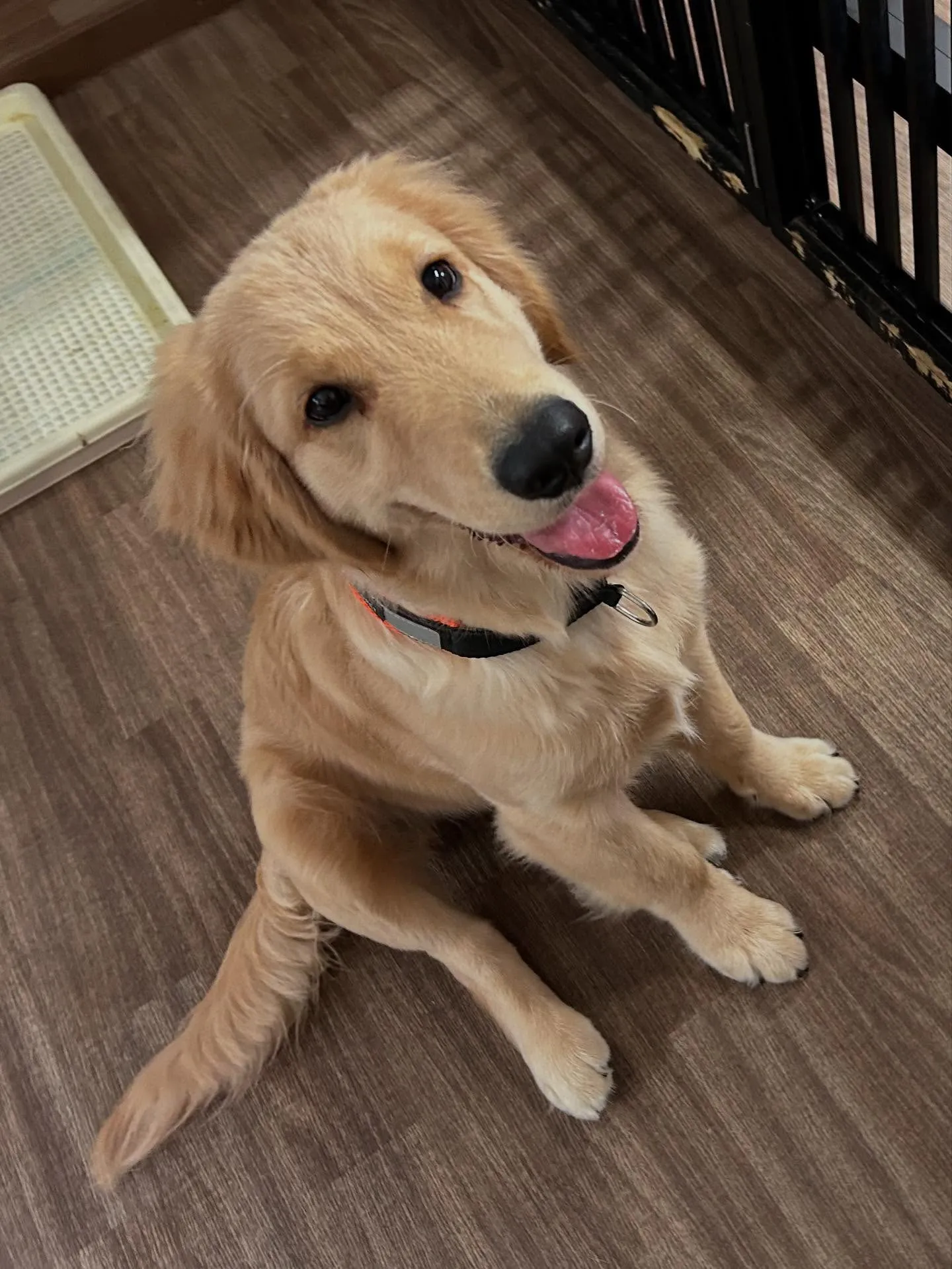 すっかりアップするのを忘れていた8月の営業カレンダーです✨️