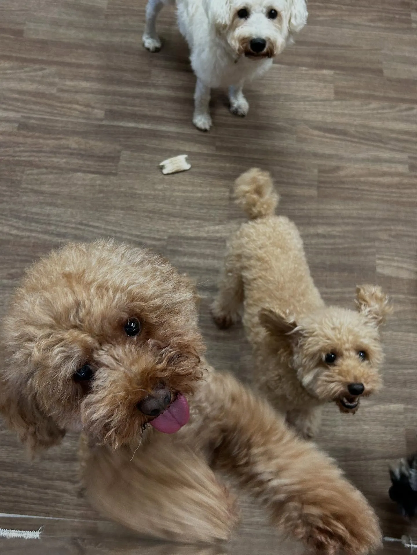 9月の営業カレンダーも出来上がっております🤗