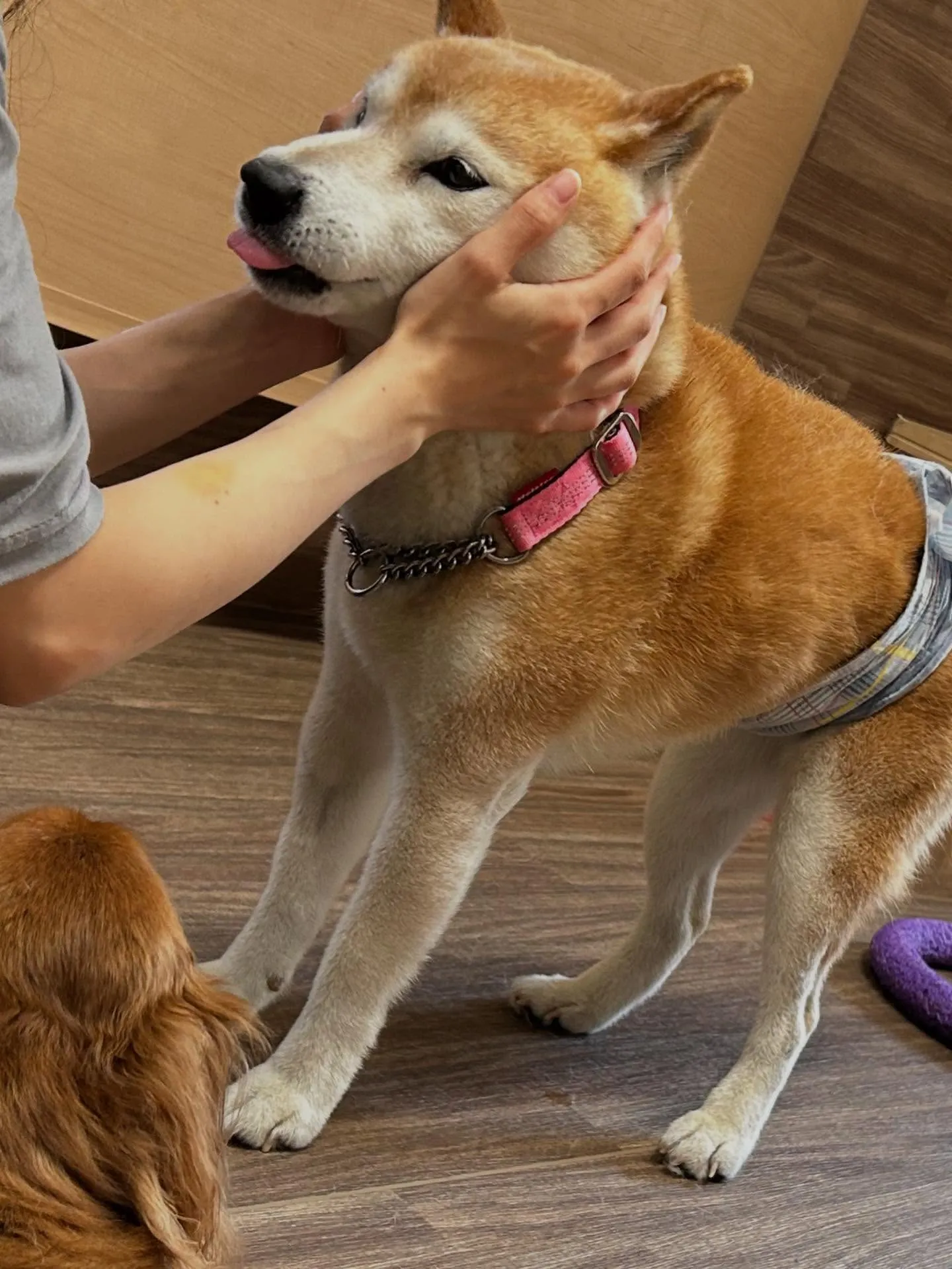 9月の営業カレンダーも出来上がっております🤗