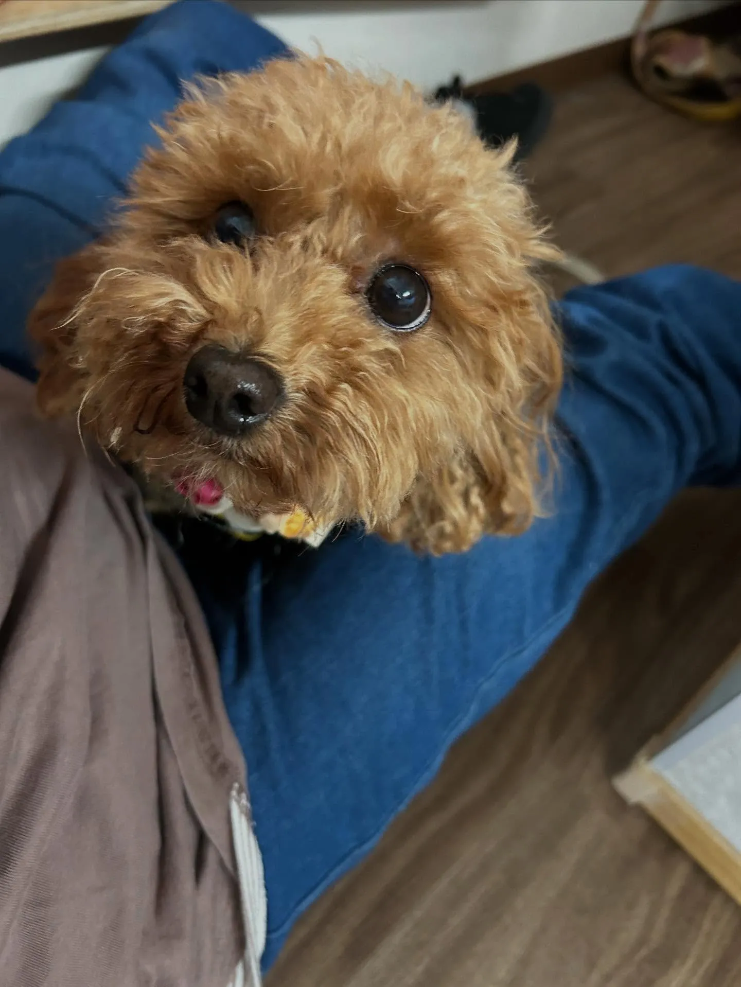 9月の営業カレンダーも出来上がっております🤗