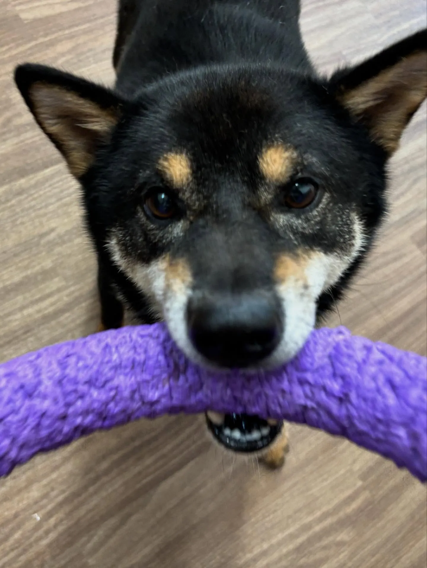 9月の営業カレンダーも出来上がっております🤗