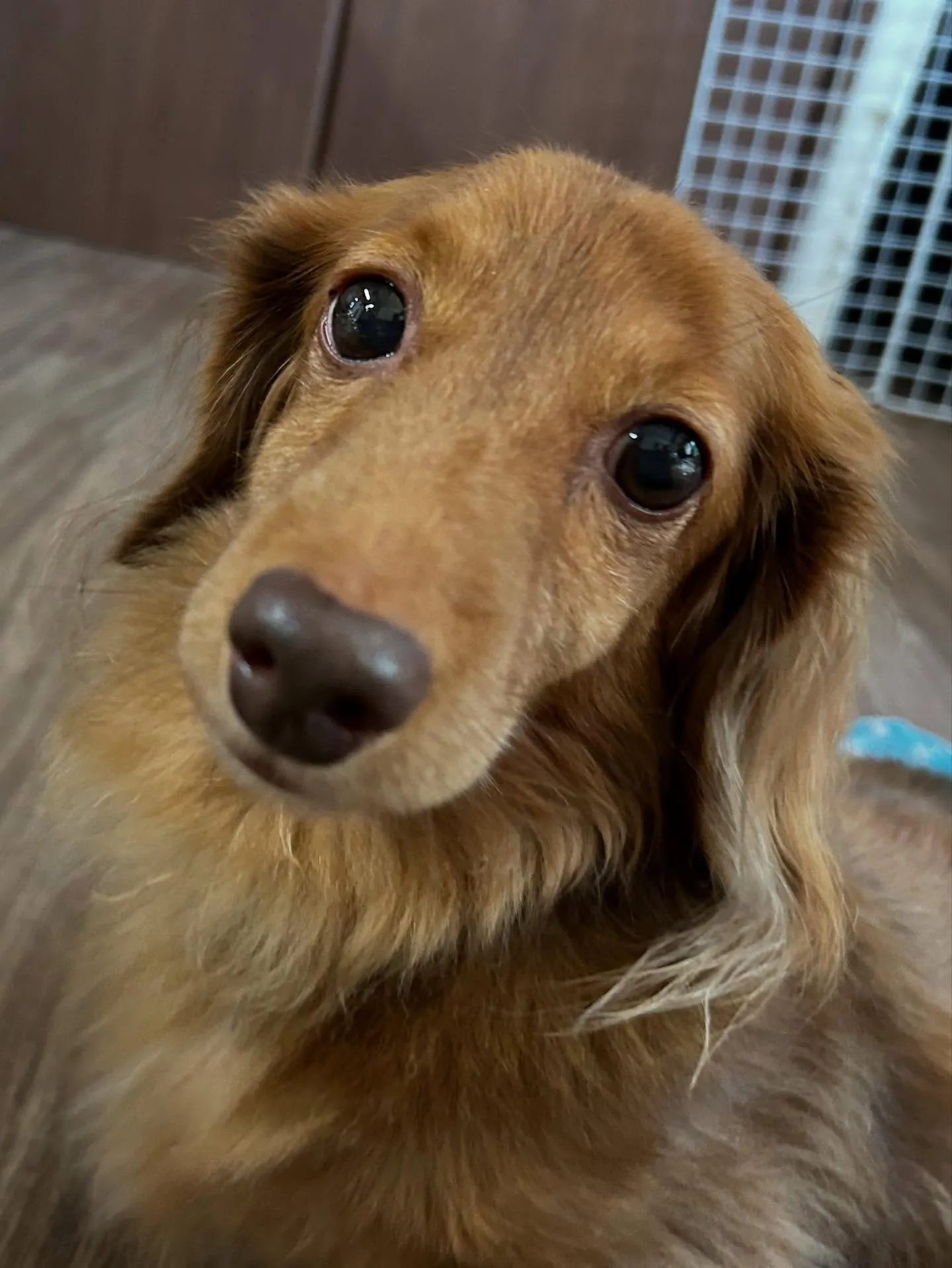 9月の営業カレンダーも出来上がっております🤗