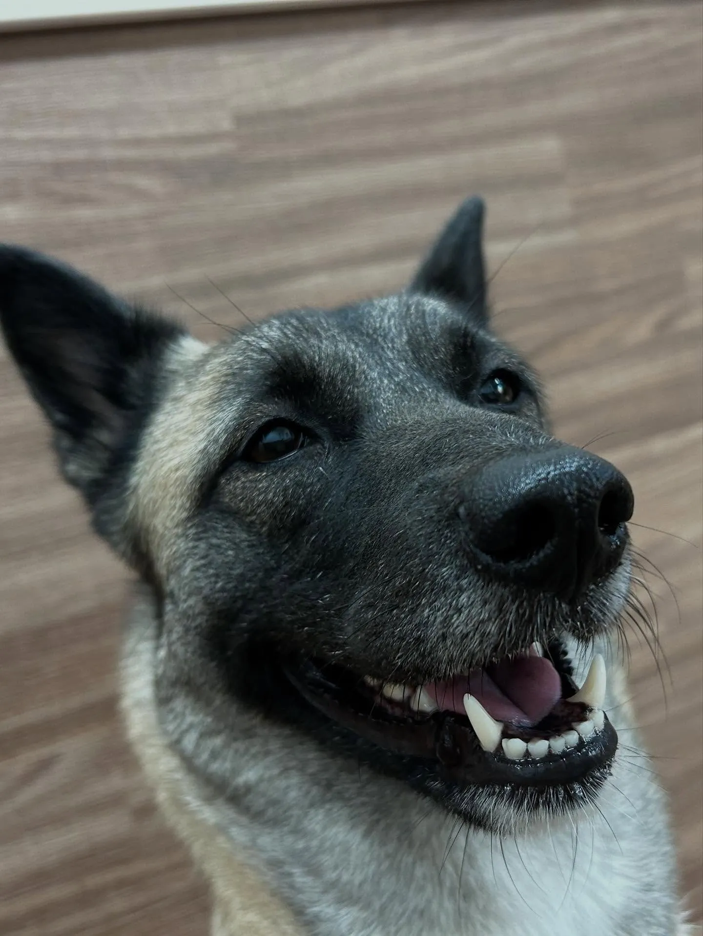 9月の営業カレンダーも出来上がっております🤗