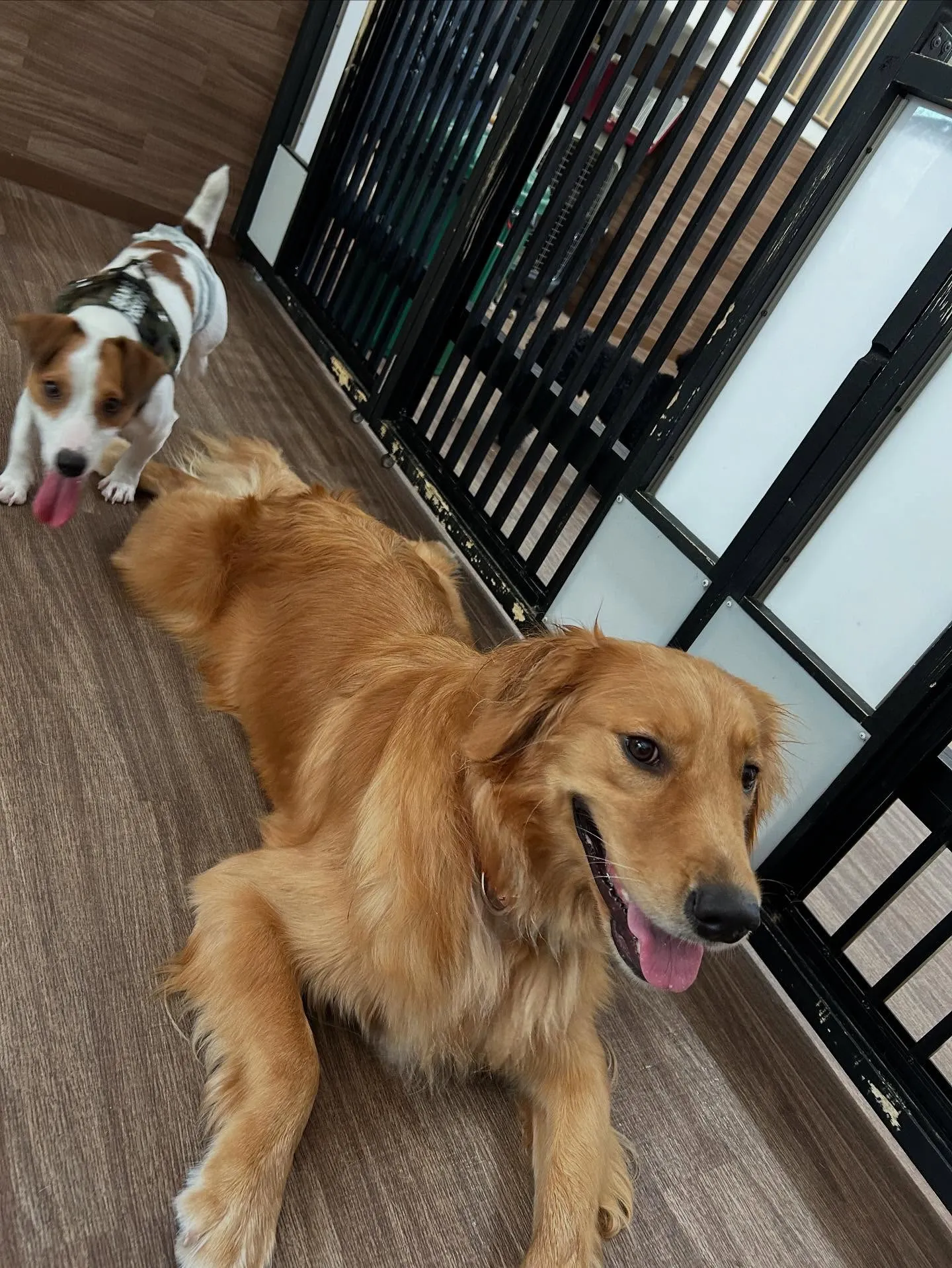 9月の営業カレンダーも出来上がっております🤗