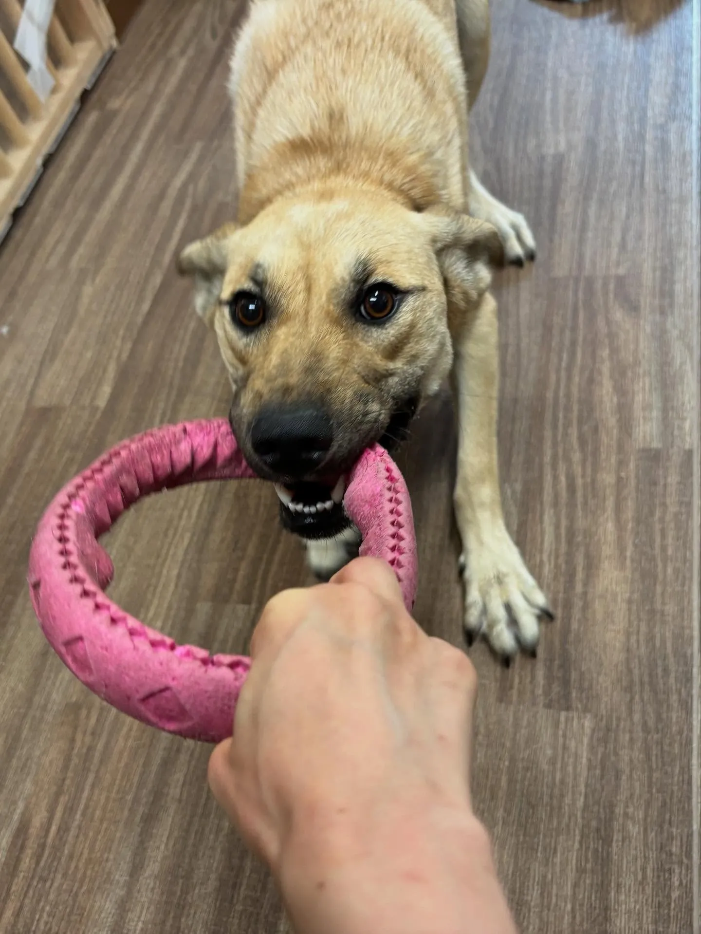 9月の営業カレンダーも出来上がっております🤗