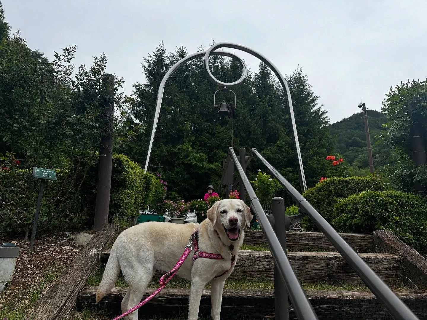 【愛犬と行く長野旅行レポ】