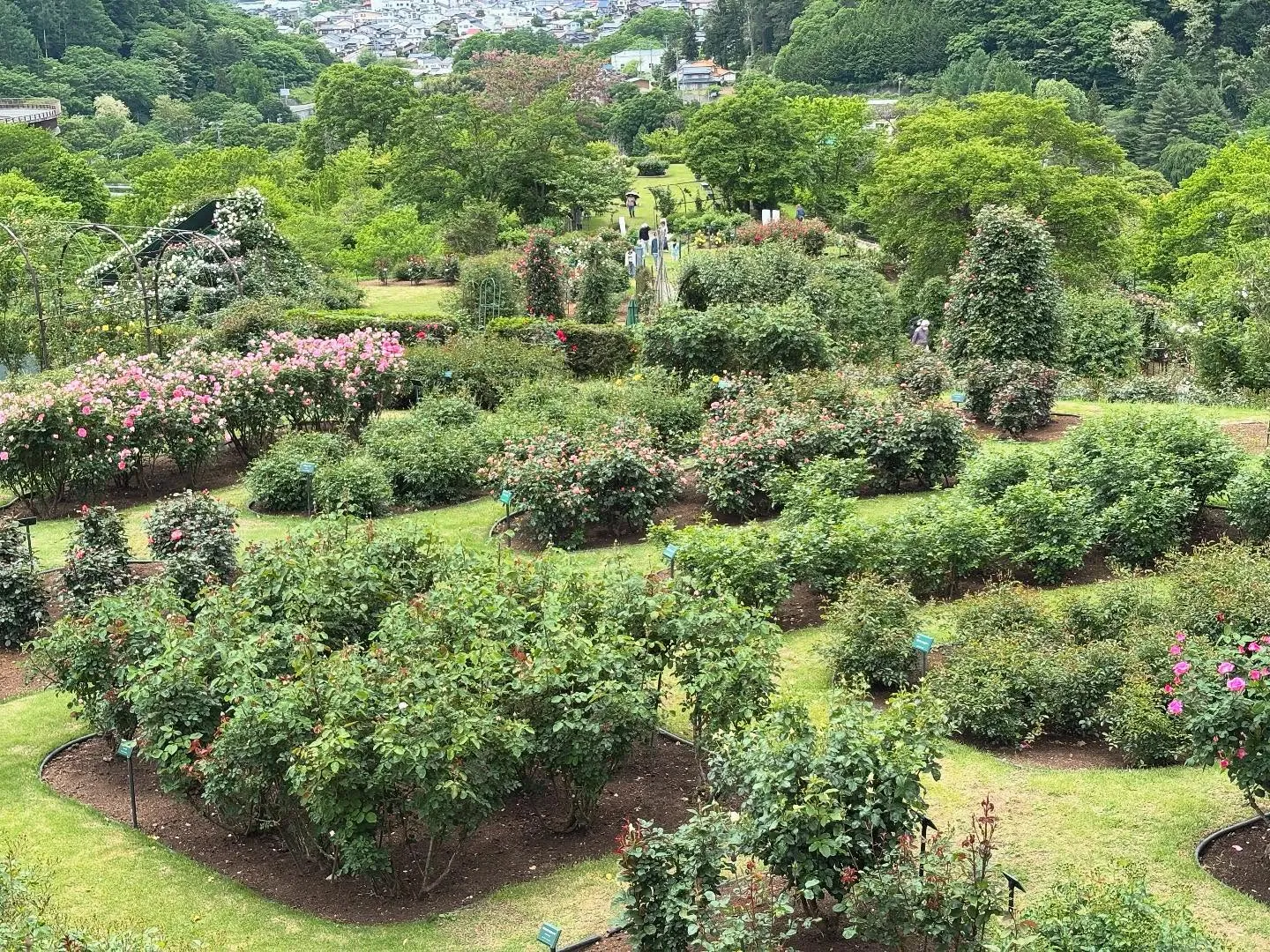 【愛犬と行く長野旅行レポ】