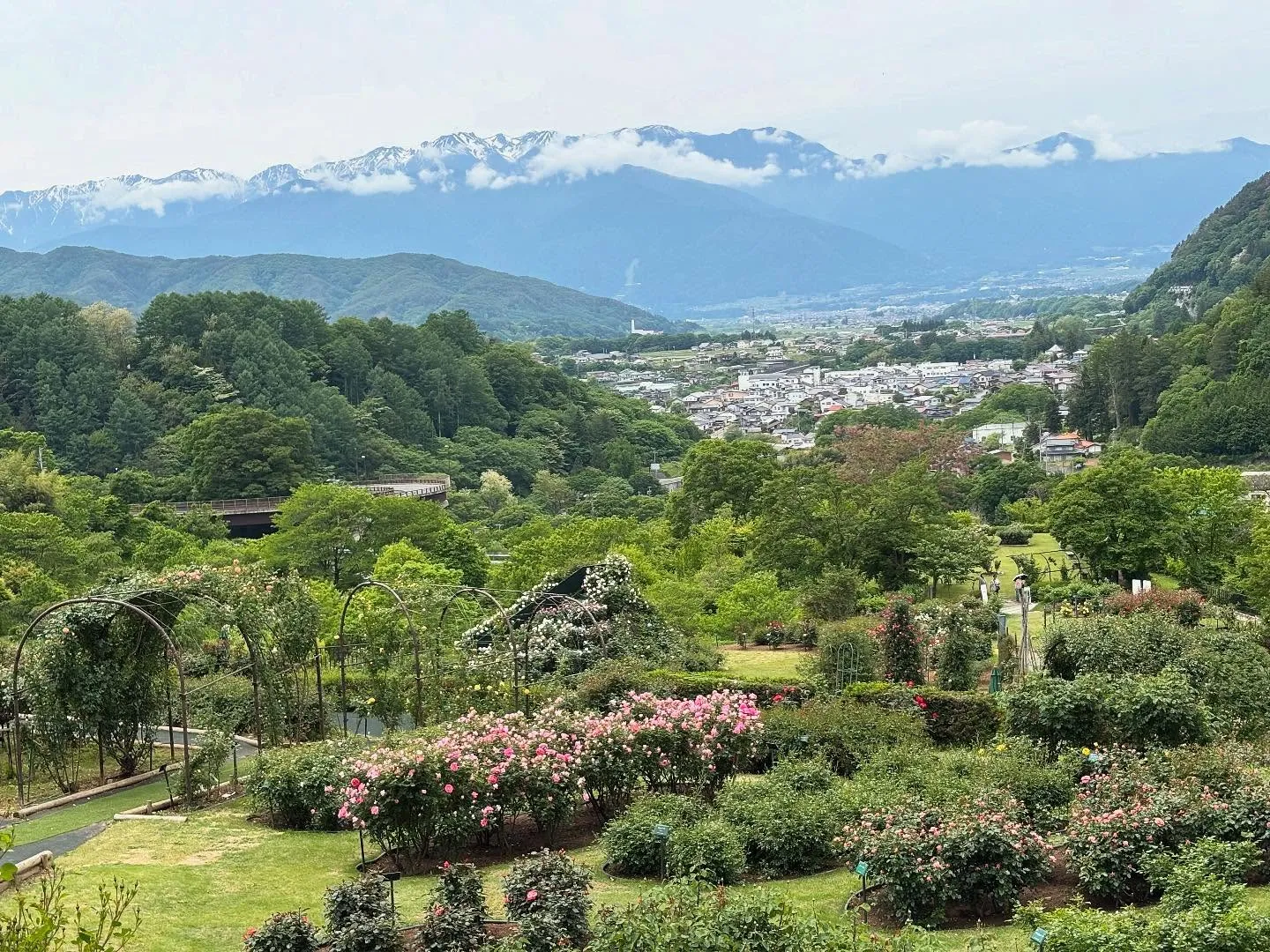 【愛犬と行く長野旅行レポ】