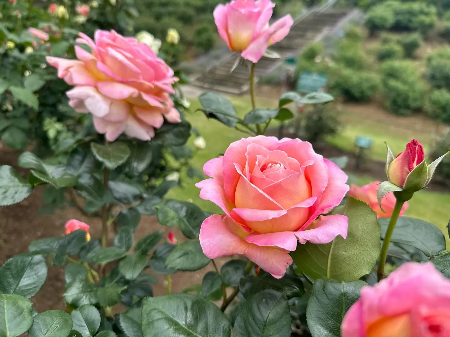 【愛犬と行く長野旅行レポ】