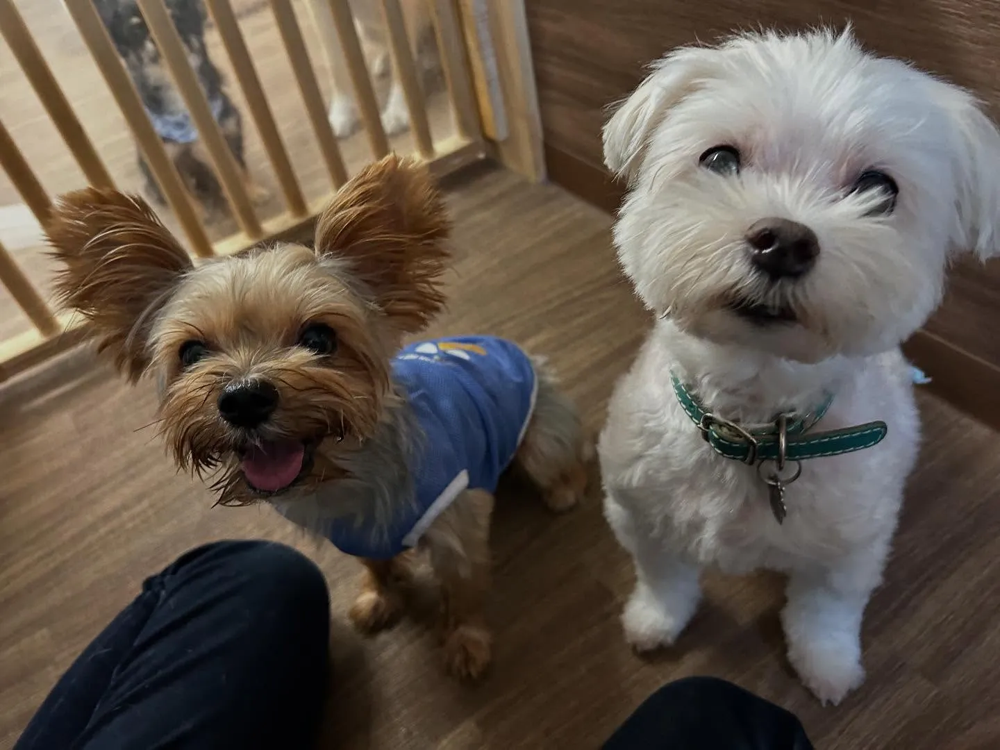 【写真撮影会イベント📸】