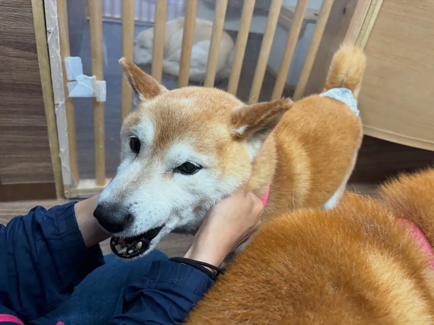 【写真撮影会イベント📸】