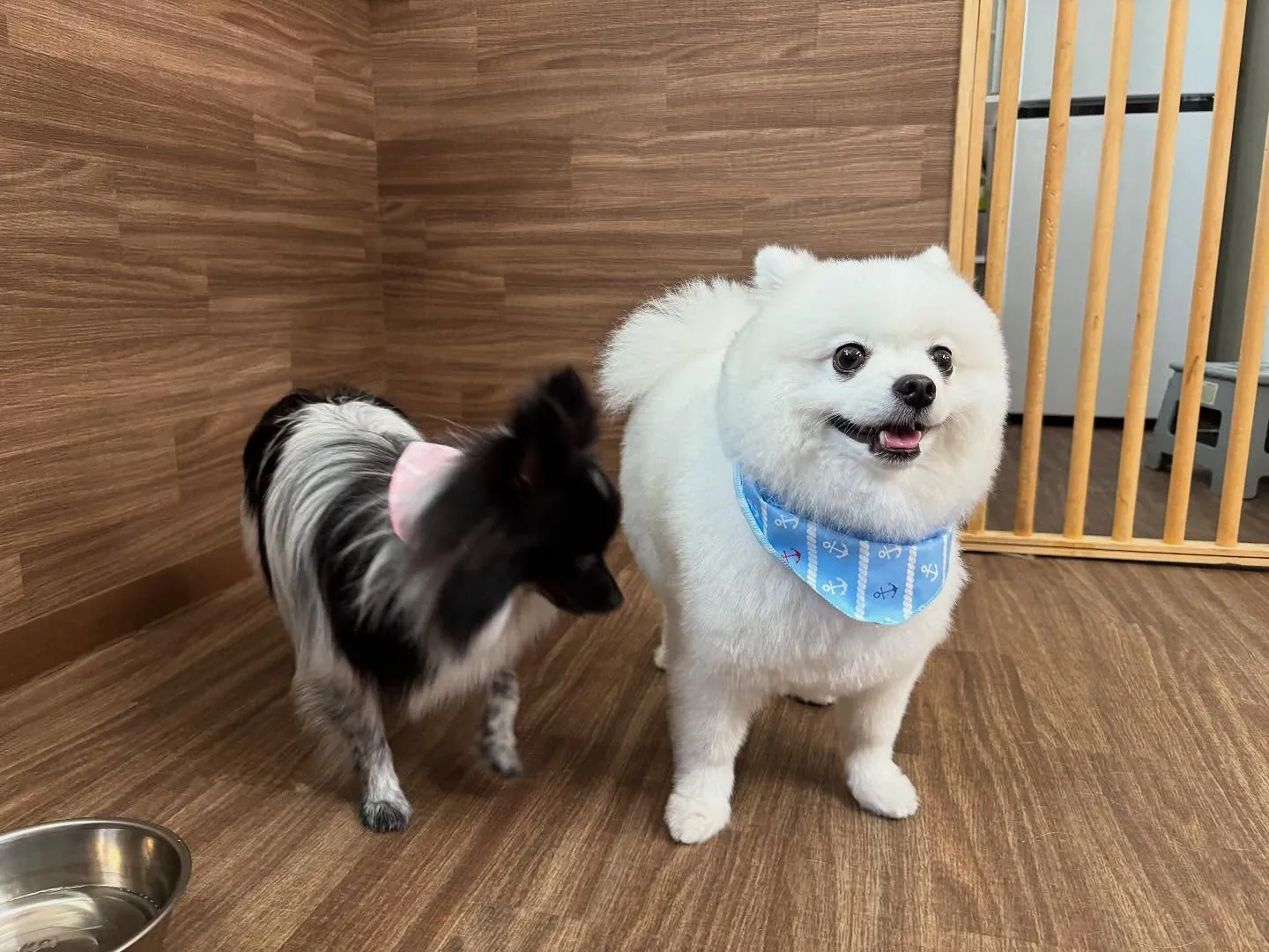 【写真撮影会イベント📸】