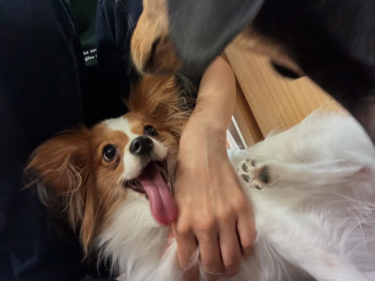 【写真撮影会イベント📸】