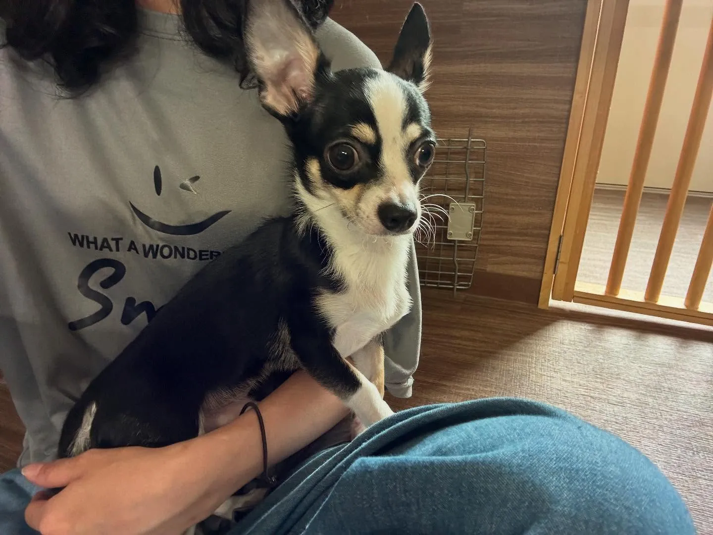 【写真撮影会イベント📸】