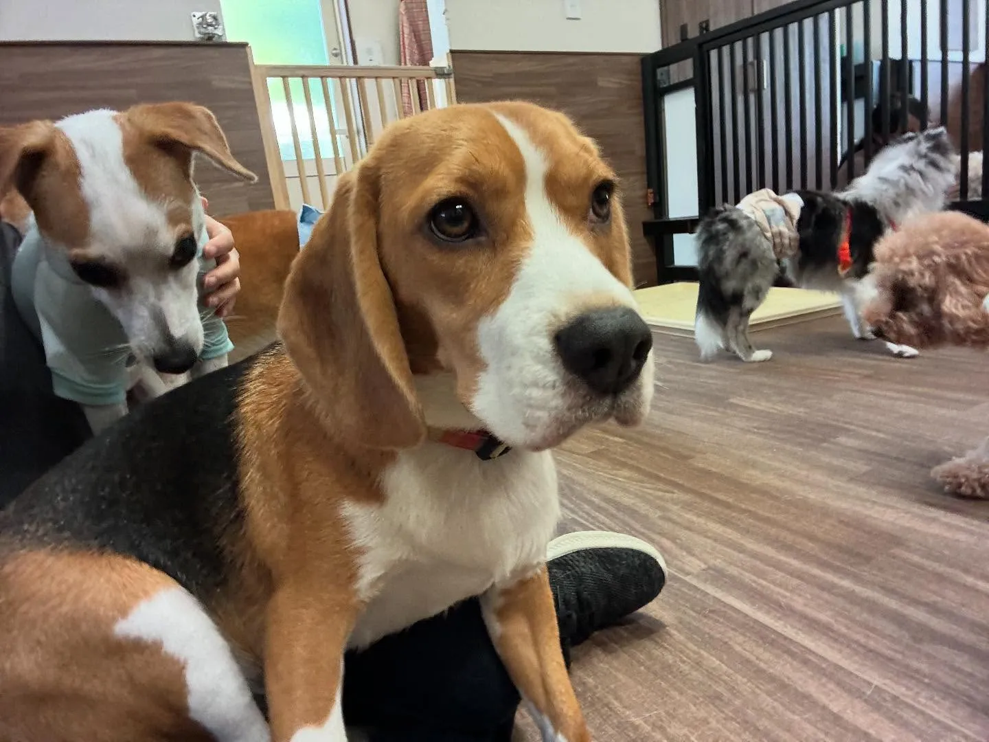 【写真撮影会イベント📸】