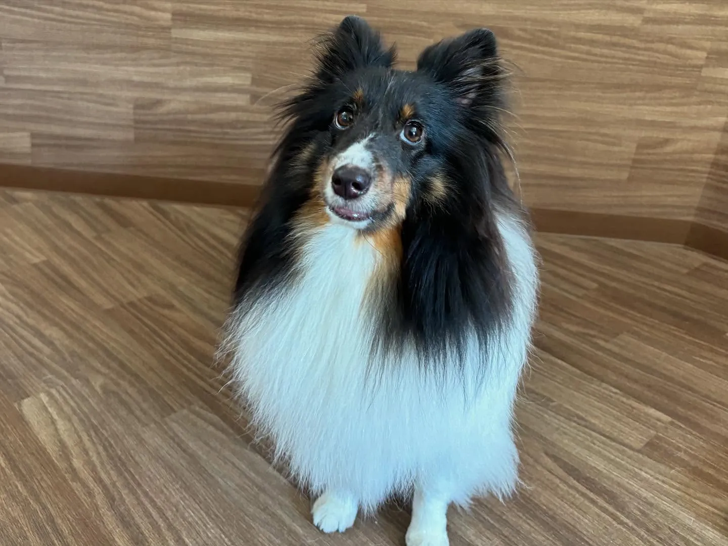 【写真撮影会イベント📸】