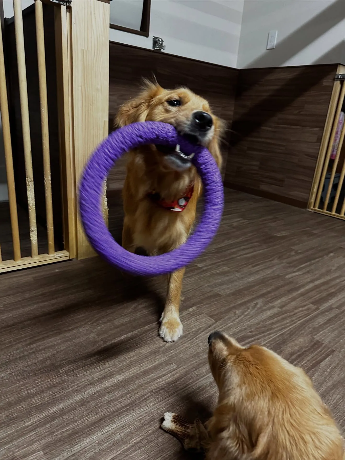 10月の営業カレンダーです🎶