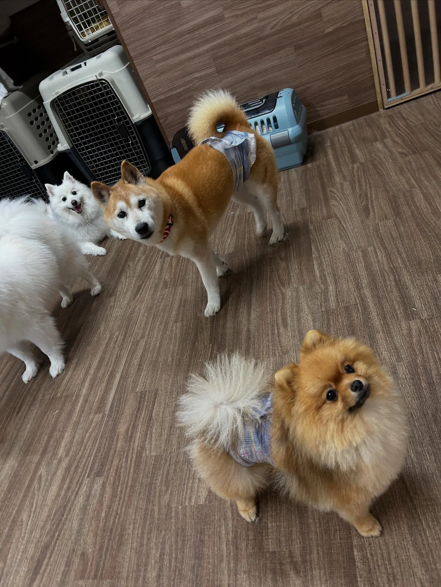 10月の営業カレンダーです🎶