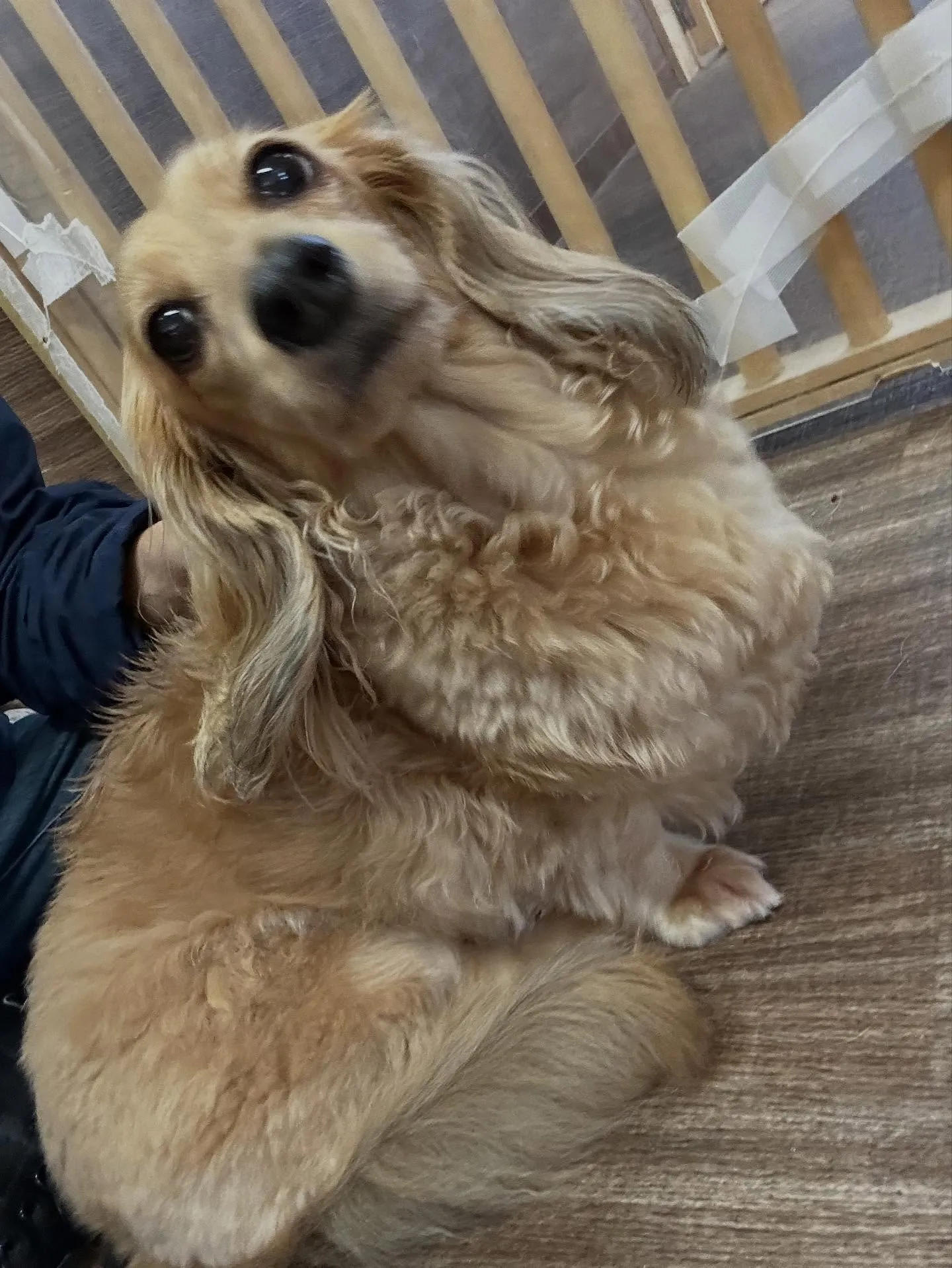 10月の営業カレンダーです🎶