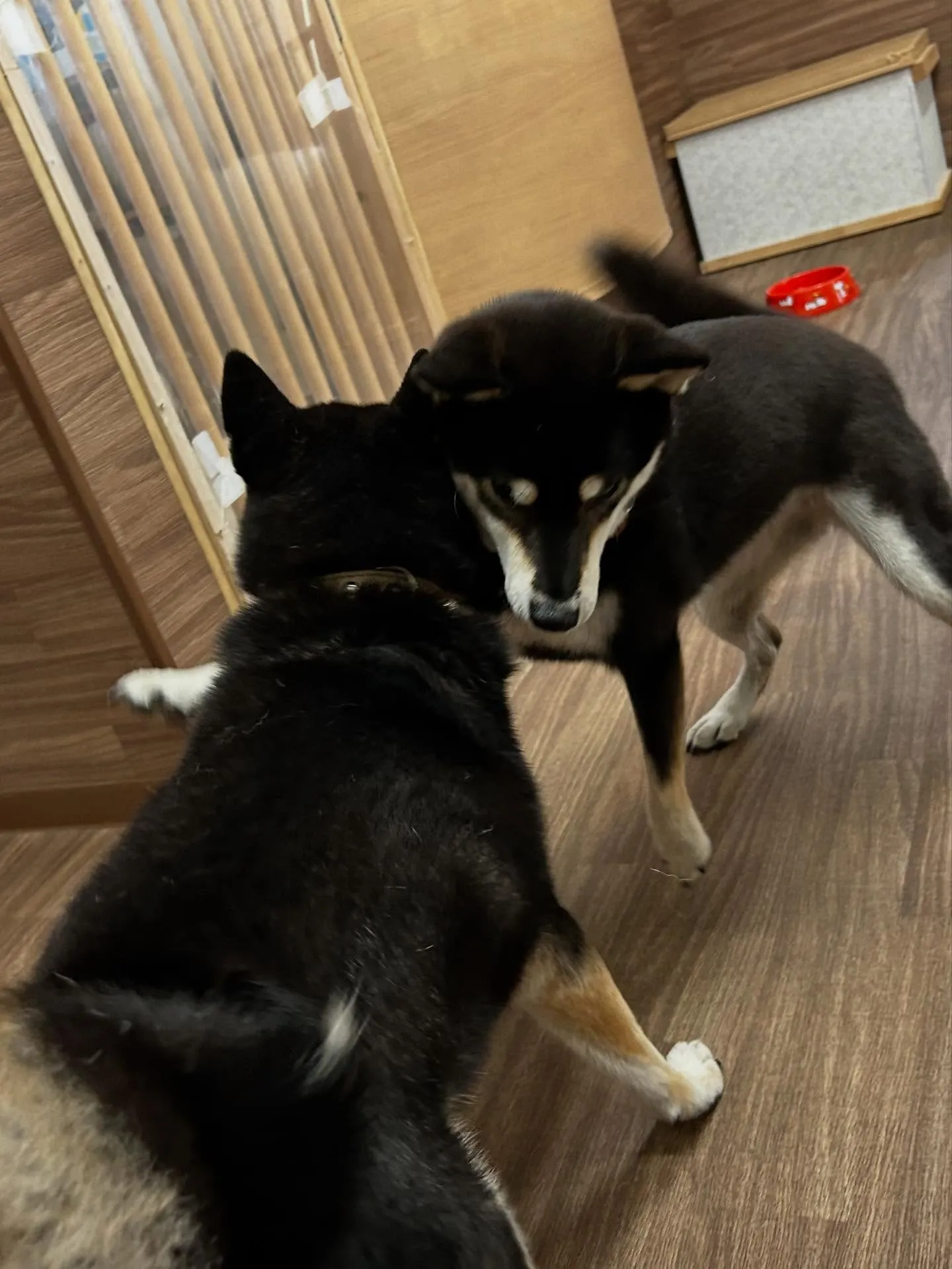 10月の営業カレンダーです🎶