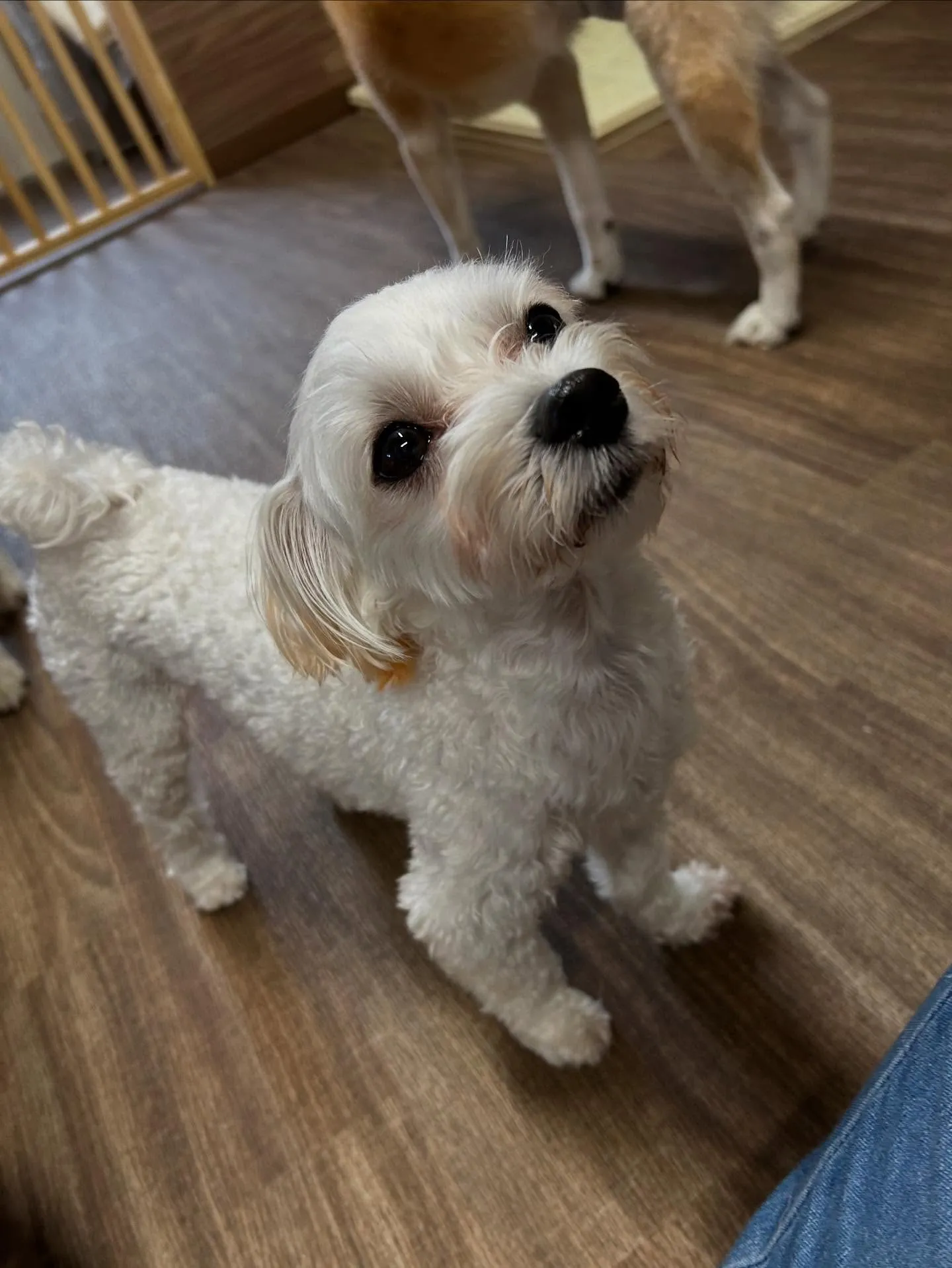 10月の営業カレンダーです🎶