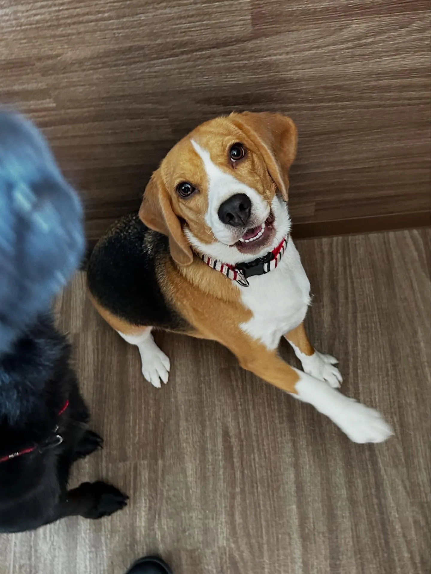 10月の営業カレンダーです🎶