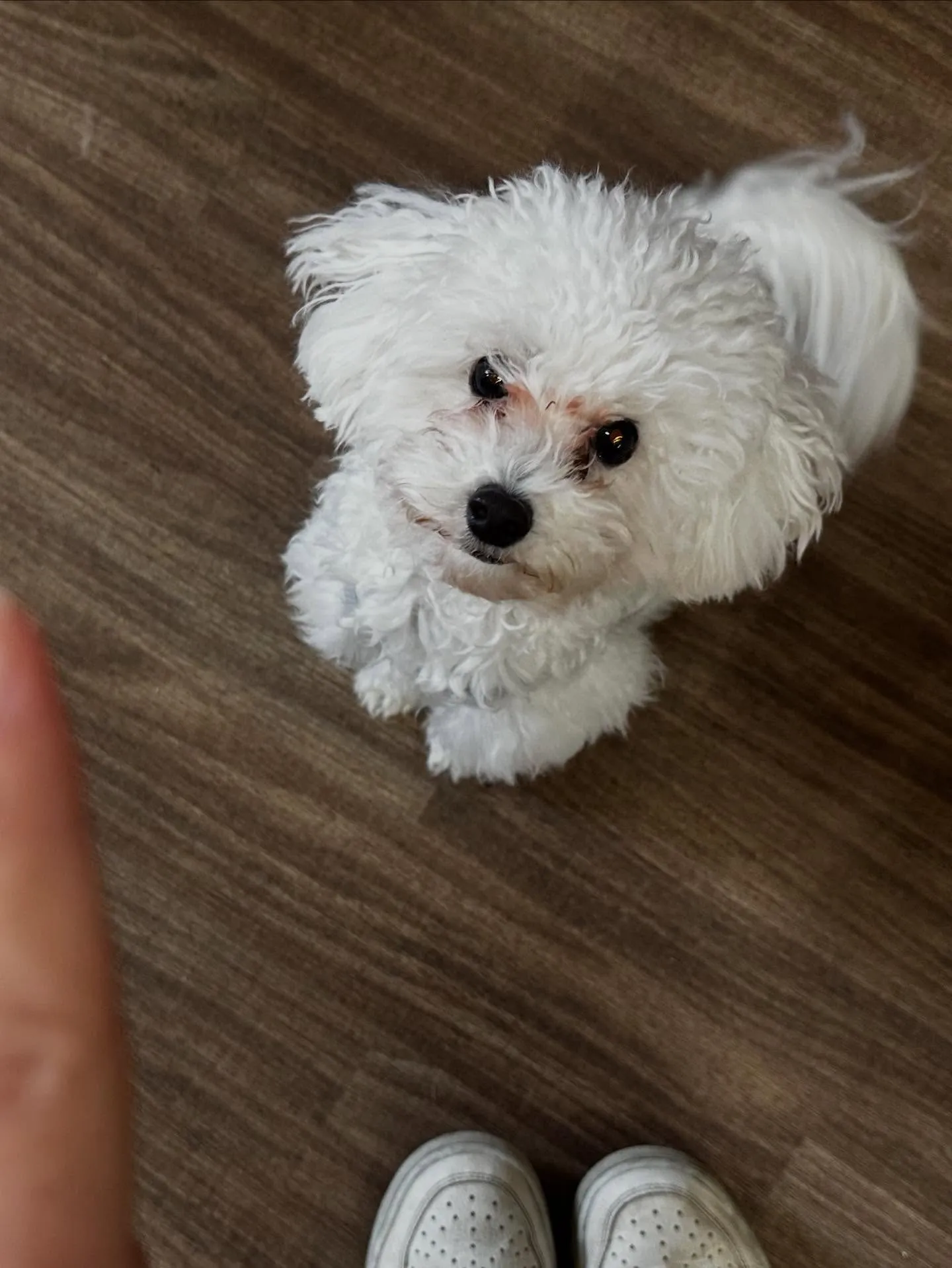 10月の営業カレンダーです🎶