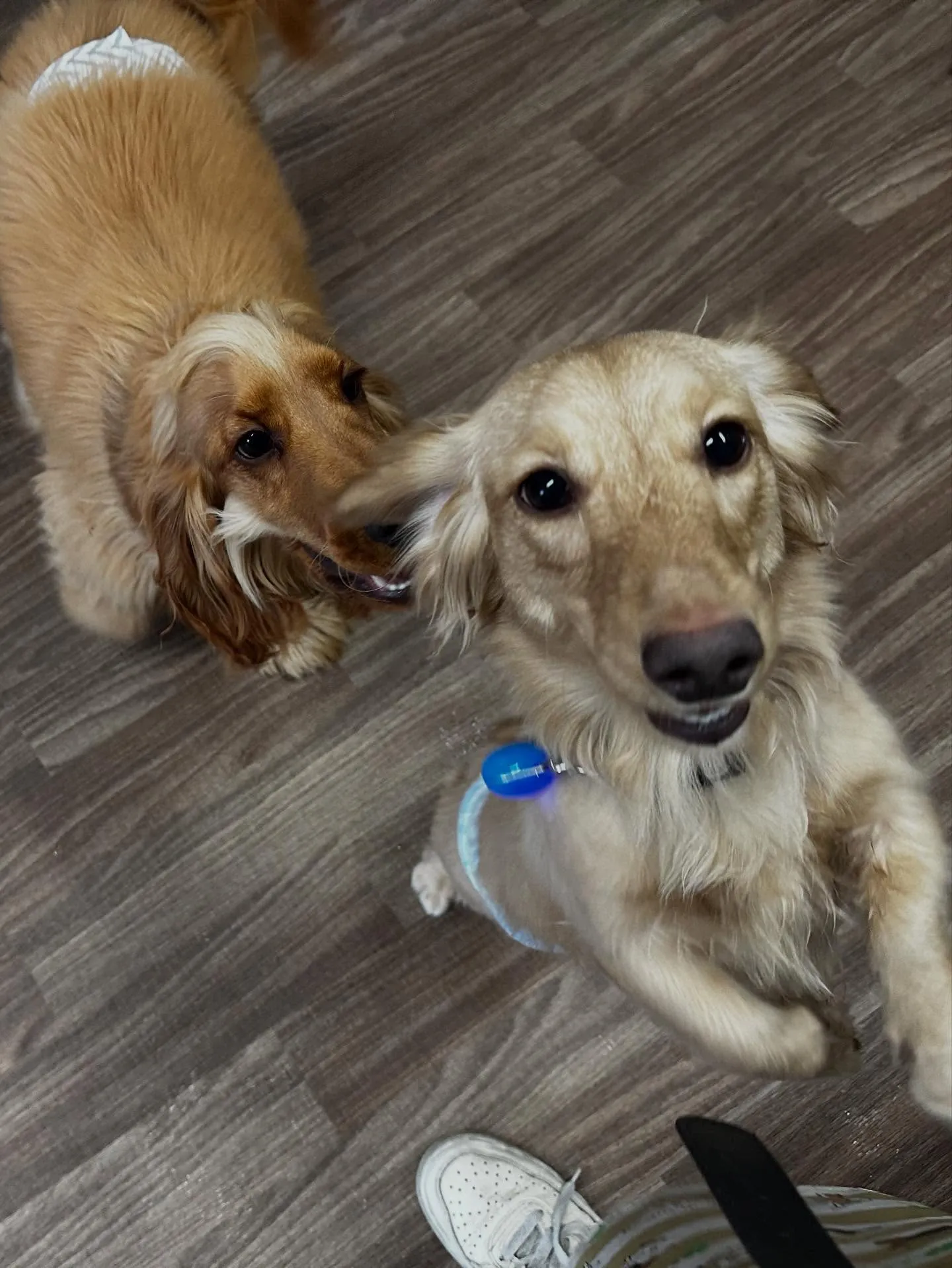 10月の営業カレンダーです🎶