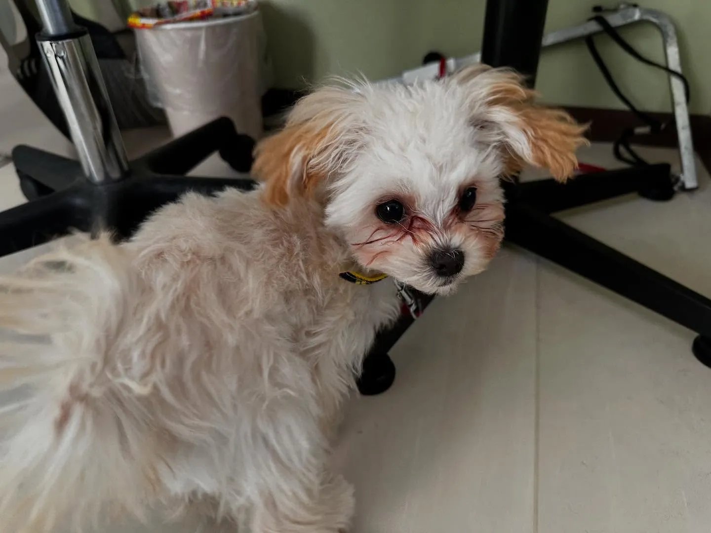 入会してくれた流輝くんです🌟