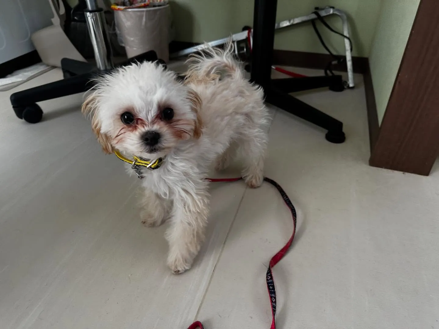 入会してくれた流輝くんです🌟