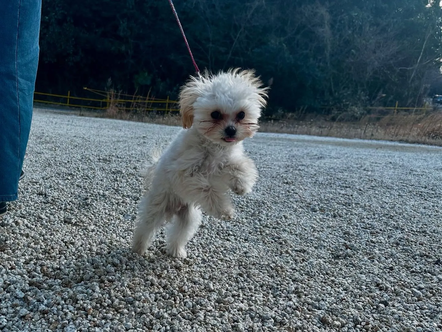 入会してくれた流輝くんです🌟