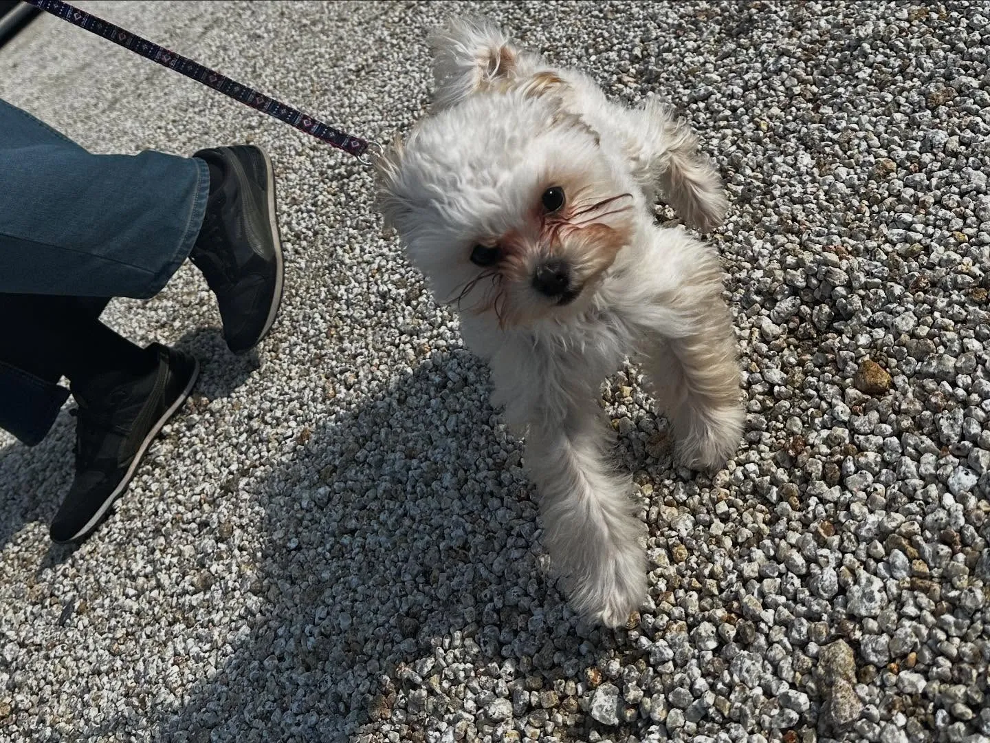 入会してくれた流輝くんです🌟