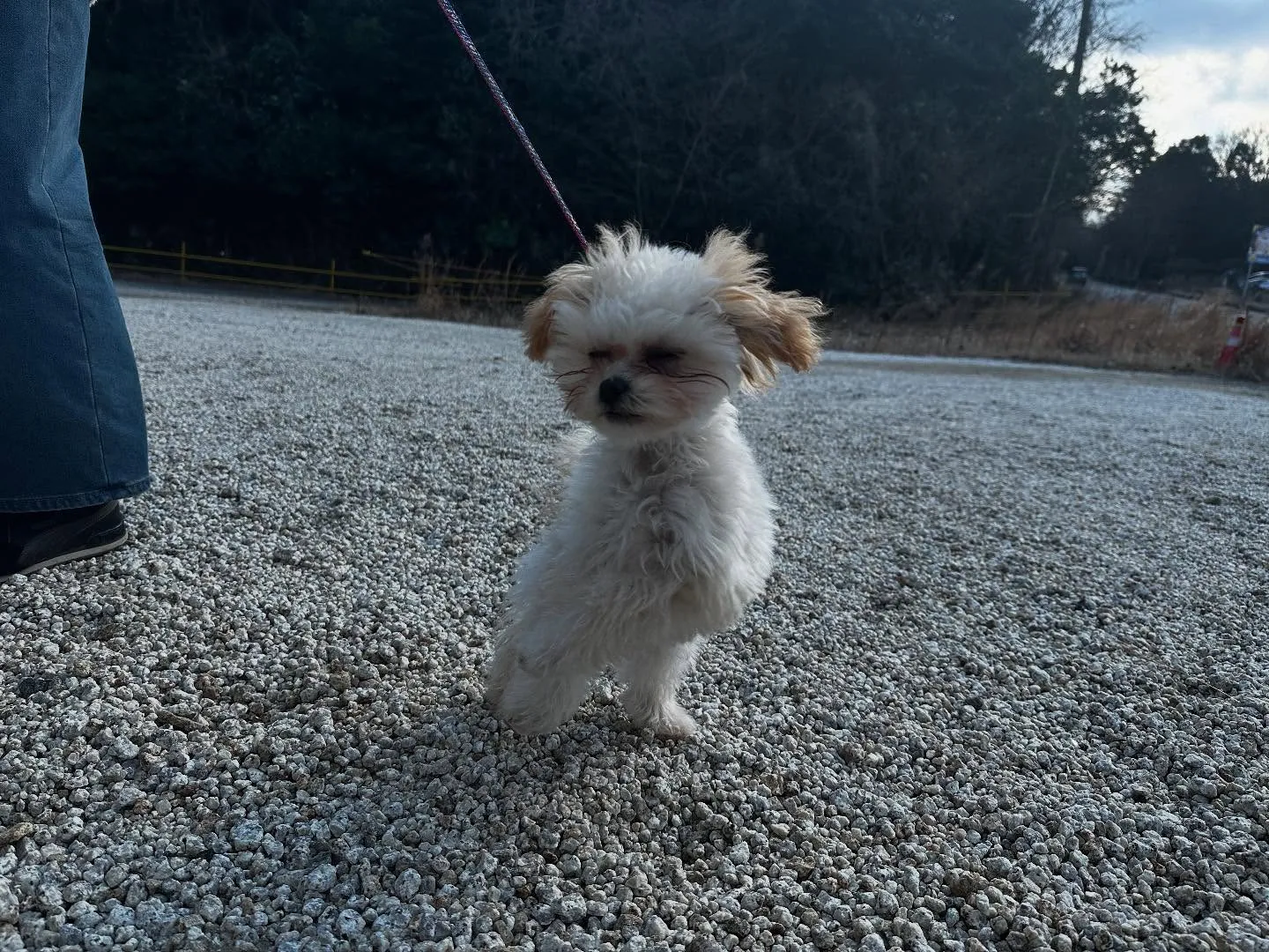 入会してくれた流輝くんです🌟