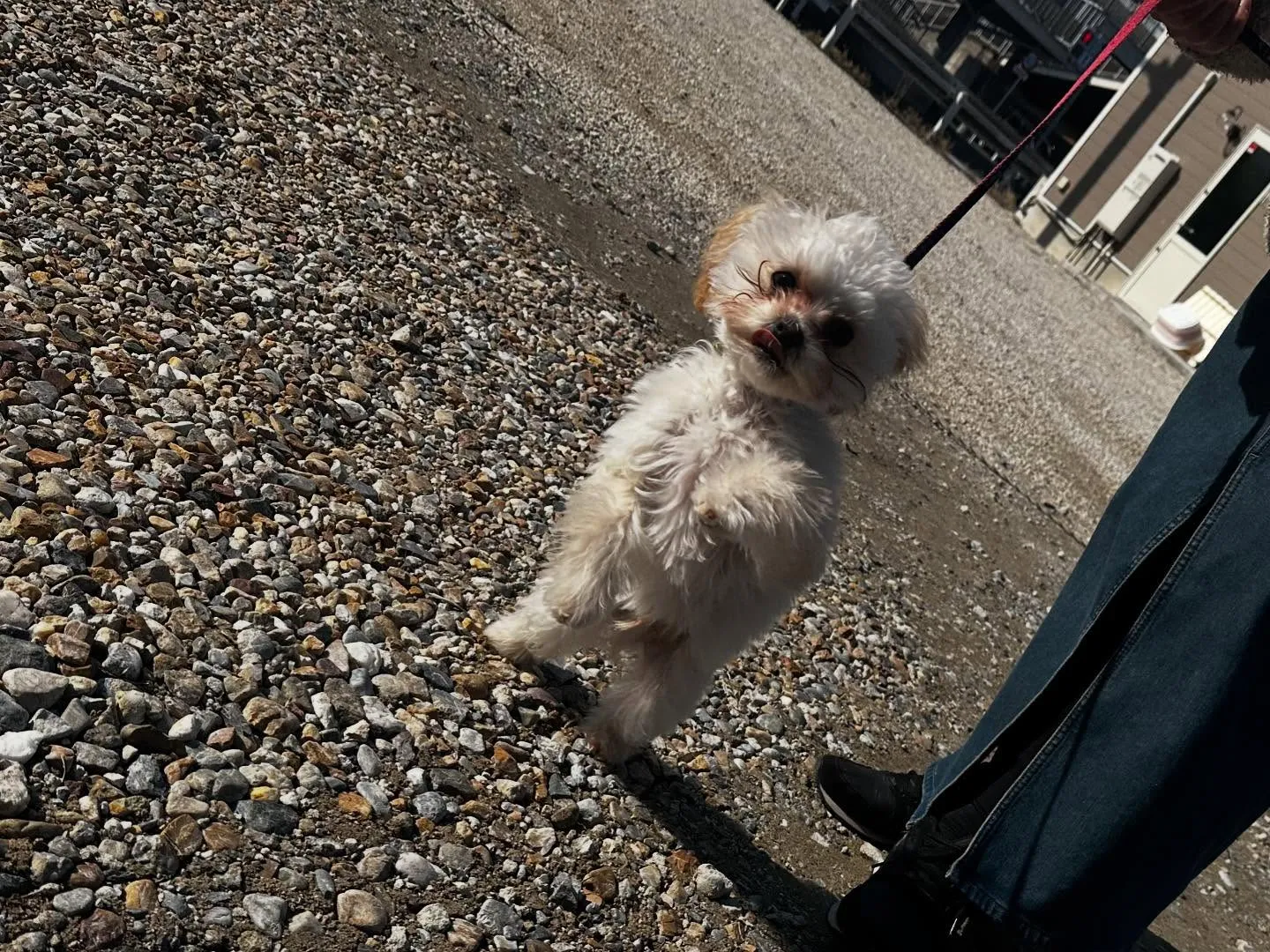 入会してくれた流輝くんです🌟