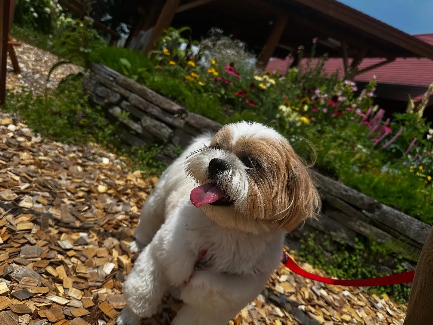 先月の抽選おでかけイベントの動画をようやくYouTubeにア...