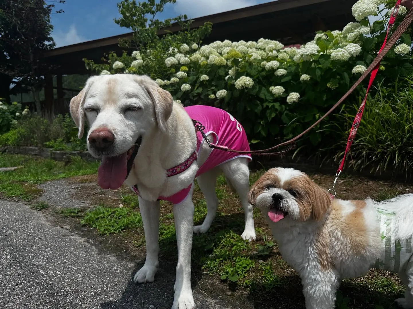 先月の抽選おでかけイベントの動画をようやくYouTubeにア...
