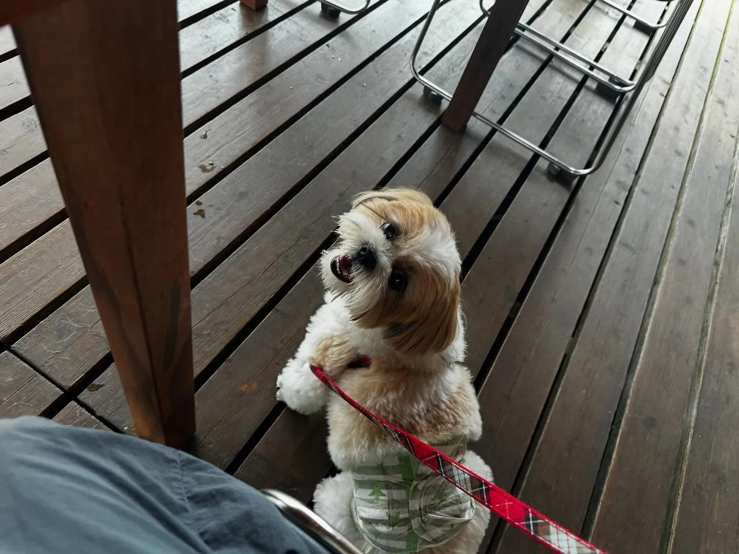 先月の抽選おでかけイベントの動画をようやくYouTubeにア...